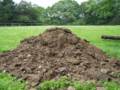 Compost Pile - Does this Mean We're Rich?